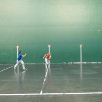 Pelota eguna Seguran