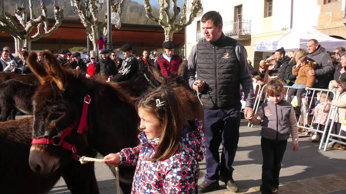 Gipuzkoako dozenaka astozale bildu zituen, urtero bezala, Lazkaoko Astotxo Egunak