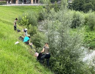 Oria ibaiaren garbiketan eta landare espezie inbaditzaileen erauzketan parte hartzeko deialdia zabaldu du Udalak