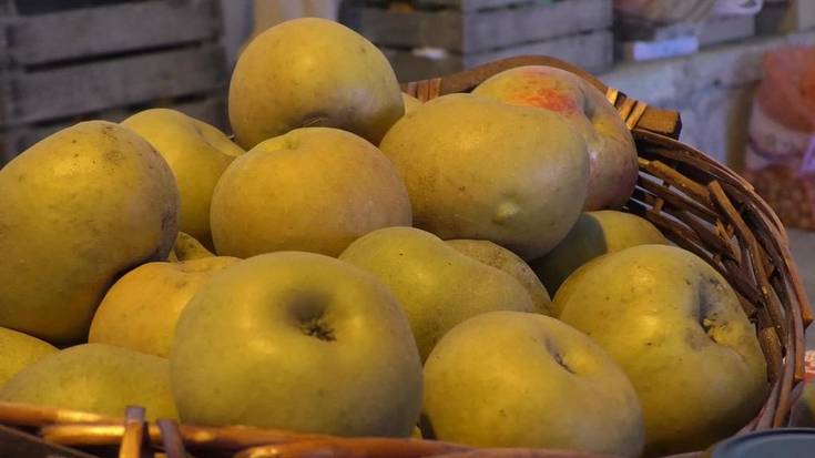 Gabiriako Errezil Sagarraren eguna ospatu zuten igandean