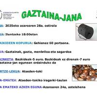 Gaztaina-jana