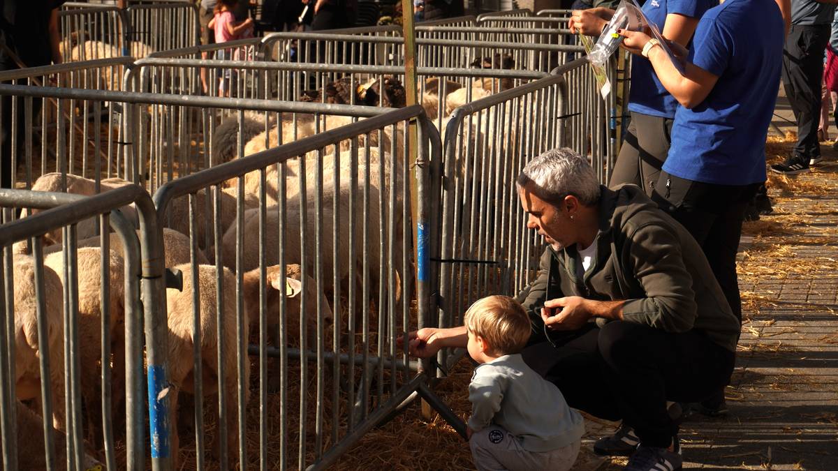 [ARGAZKI GALERIA] Artzain Eguna