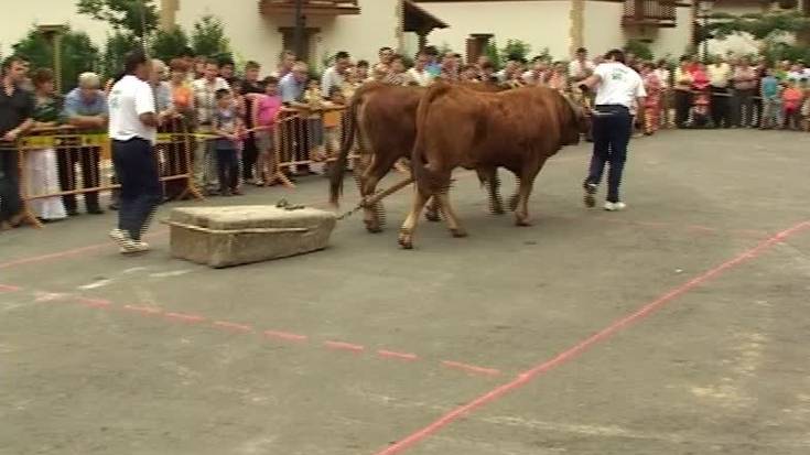 Idi pare proba Mutiloko festetan, lehenengo aldiz