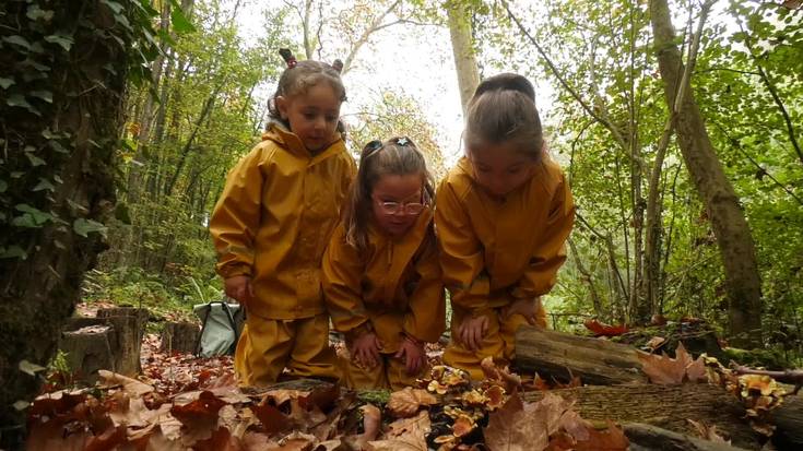 Basoan ikasi, basoan hazi: Urdanetako txikien esperientzia