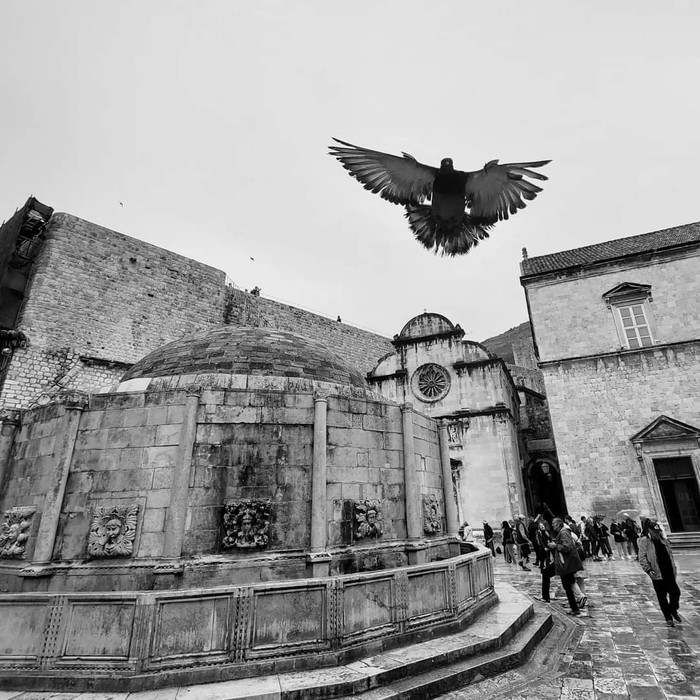 DUBROVNIK´S MOOD [Dubrovnik, Kroazia]