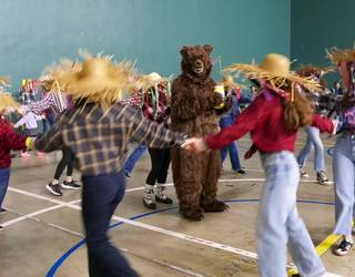 Aralarren esnatu eta Zaldibiara joan zen hartza lehen aldiz