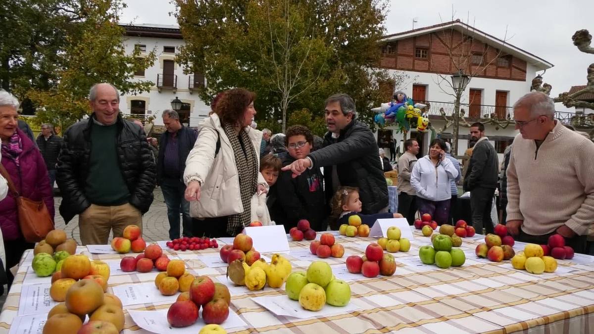 Gabirik Errezil sagarraren eta baserriko produktuen azoka ospatuko du igandean
