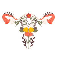 Elikadura menopausian