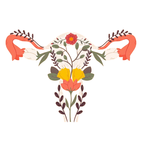 Elikadura menopausian