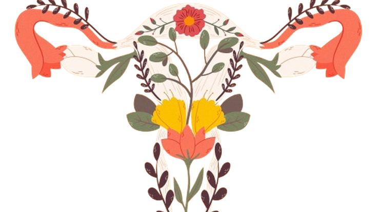 Elikadura menopausian