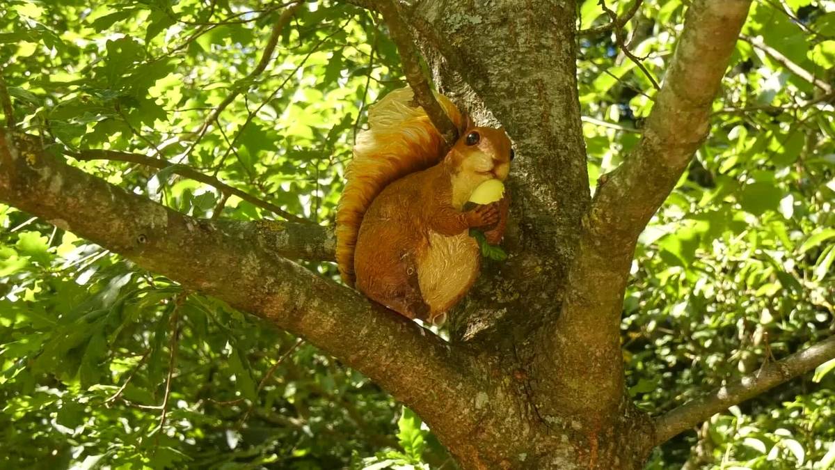 “Frai Bartolomeren misterioa” Natura eskapu jolasa, Zegamako Udala eta Anduetza Parketxea-ren ekimenez