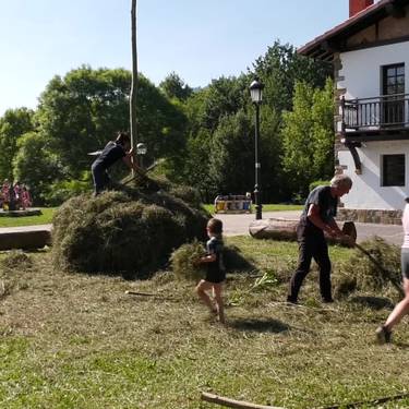 Belar meta egiteko auzolana