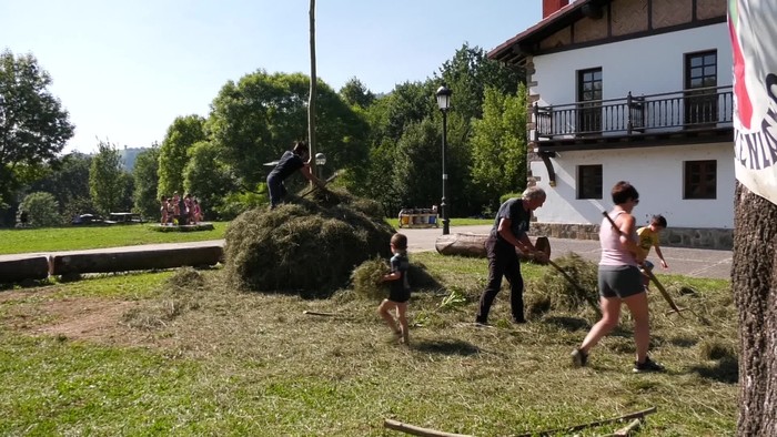 Belar meta egiteko auzolana