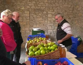 Sagar ekoizleek izurriteei aurre egiteko neurriak har ditzakete, baina klima-aldaketak gero eta mehatxu handiagoa dakar