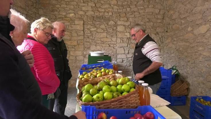 Sagar ekoizleek izurriteei aurre egiteko neurriak har ditzakete, baina klima-aldaketak gero eta mehatxu handiagoa dakar
