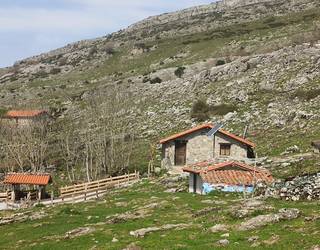 Aralar Bizirik Plataformak eta Landarlan Ingurumen Elkarteak Enirio-Aralarko akordioa gaitzetsi dute