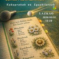 Bertso Pilota Lehiaketa